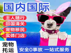 福州长乐机场邮寄国际宠物托运 【国
